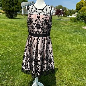 Pretty in Pink, Roz & Ali Fit and Flare Dress, Pink with Black Overlay, Size 12